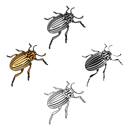 Colorado beetle, a coleopterous insect.Colorado, a harmful insect single icon in cartoon,black style vector symbol stock isometric illustration web.のイラスト素材
