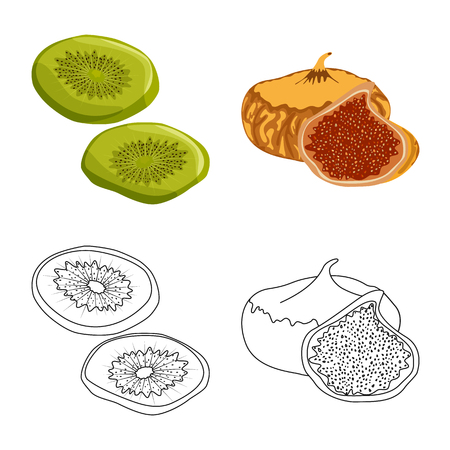 Isolated object of food  and raw  symbol. Collection of food  and nature   vector icon for stock.のイラスト素材