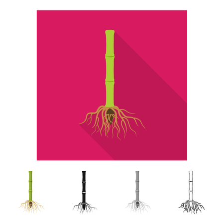 Vector illustration of root and system symbol. Collection of root and sprout vector icon for stock.のイラスト素材