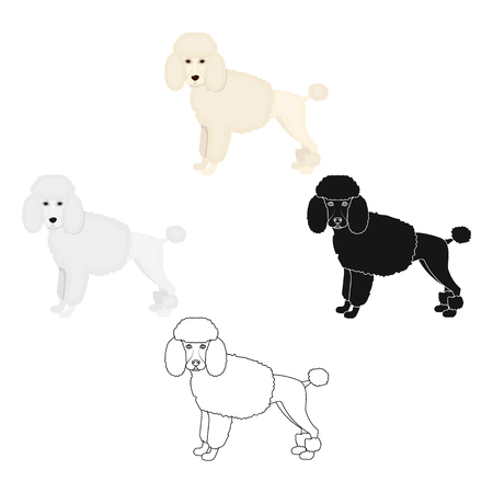 Poodle, single icon in cartoon,black style.Poodle, vector symbol stock illustration web.のイラスト素材