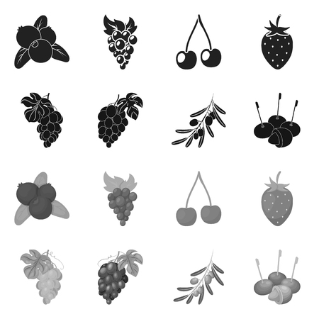Vector illustration of berry and fruit icon. Collection of berry and redberry  stock symbol for web.のイラスト素材