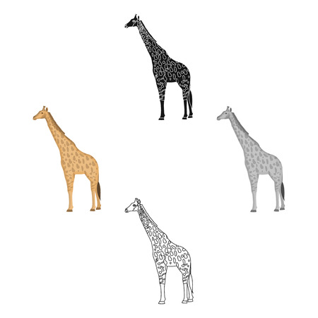 Giraffe is the highest land animal. A wild animal, a giraffe single icon in cartoon,black style vector symbol stock illustration web.のイラスト素材