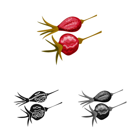 Isolated object of rose and dry logo. Collection of rose and botany  vector icon for stock.のイラスト素材