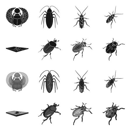 Isolated object of insect and beetle logo. Set of insect and halloween stock symbol for web.のイラスト素材