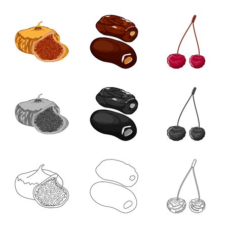 Isolated object of food and raw. Set of food and nature vector icon for stock.のイラスト素材