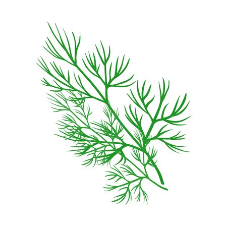 Isolated object of dill and greenery icon. Set of dill and aromatherapy stock symbol for web.のイラスト素材