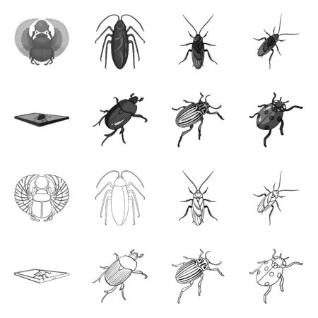 Vector design of insect and beetle logo. Set of insect and halloween vector icon for stock.のイラスト素材