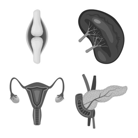 Vector illustration of internal and medical sign. Collection of internal and health stock symbol for web.のイラスト素材