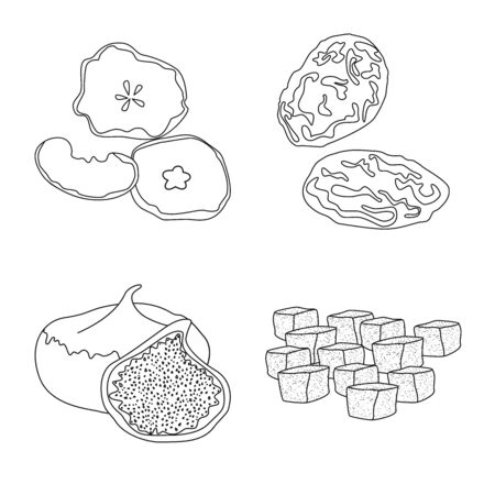 Isolated object of food and raw sign. Collection of food and nature stock symbol for web.のイラスト素材