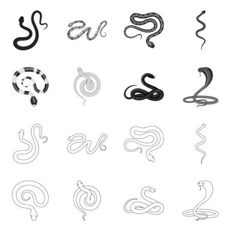 Vector illustration of mammal and danger sign. Set of mammal and medicine stock symbol for web.のイラスト素材