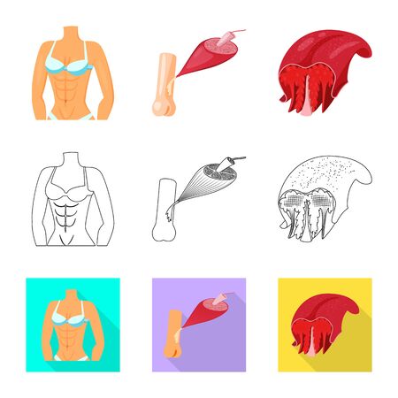 Vector illustration of fiber and muscular . Set of fiber and body vector icon for stock.のイラスト素材