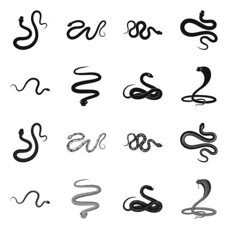 Vector illustration of mammal and danger icon. Set of mammal and medicine vector icon for stock.のイラスト素材