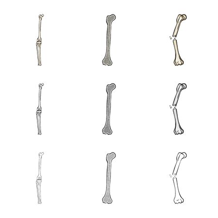 Vector design of medicine and clinic sign. Collection of medicine and medical vector icon for stock.のイラスト素材