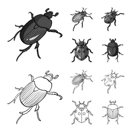 Vector illustration of insect icon. Collection of insect and halloween vector icon for stock.のイラスト素材