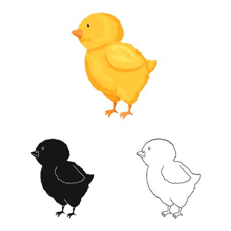 Isolated object of chick and easter icon. Collection of chick and cute stock vector illustration.のイラスト素材