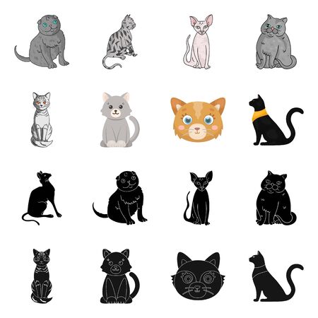 Vector illustration of pet and sphynx icon. Collection of pet and fun vector icon for stock.のイラスト素材
