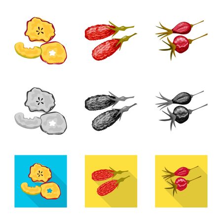 Isolated object of food and raw icon. Set of food and nature vector icon for stock.のイラスト素材