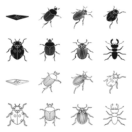 Isolated object of insect and beetle symbol. Set of insect and halloween stock vector illustration.のイラスト素材