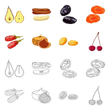 Vector illustration of food and raw sign. Collection of food and nature vector icon for stock.のイラスト素材