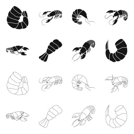 Vector illustration of appetizer and ocean sign. Set of appetizer and delicacy vector icon for stock.のイラスト素材