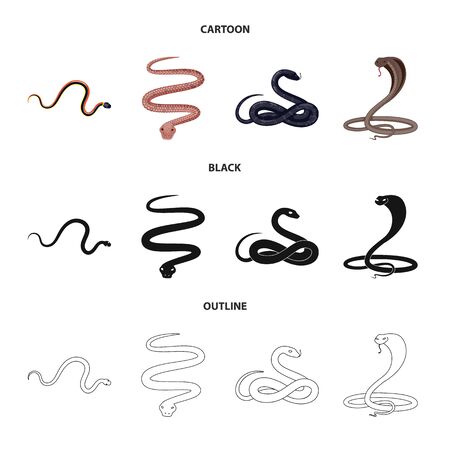 Vector design of mammal and danger. Set of mammal and medicine stock vector illustration.のイラスト素材