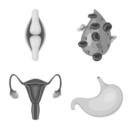 Isolated object of internal and medical symbol. Set of internal and health vector icon for stock.のイラスト素材