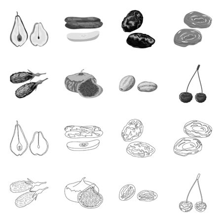 Vector design of food and raw icon. Collection of food and nature stock symbol for web.のイラスト素材