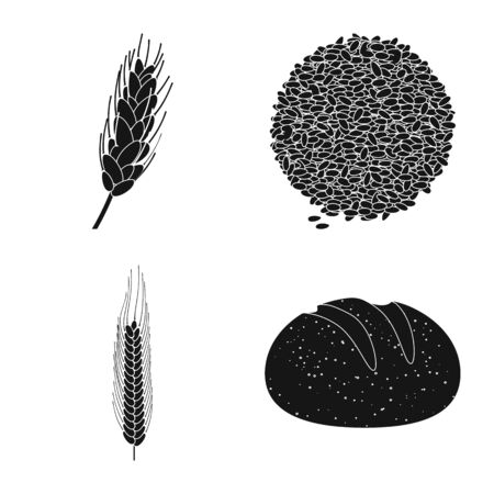 Isolated object of rye and plant icon. Collection of rye and corn stock symbol for web.のイラスト素材
