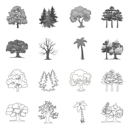 Vector illustration of tree and forest. Collection of tree and green stock symbol for web.のイラスト素材