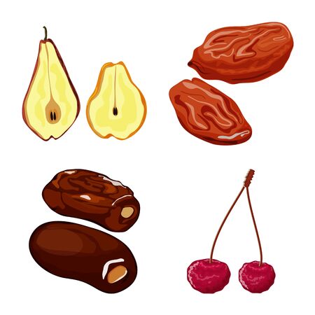 Vector illustration of fruit and dried . Collection of fruit and food vector icon for stock.のイラスト素材