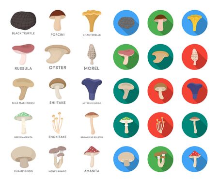 Poisonous and edible mushroom cartoon,flat icons in set collection for design. Different types of mushrooms bitmap symbol stock web illustration.の写真素材