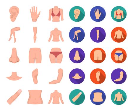 Part of the body, limb cartoon,flat icons in set collection for design. Human anatomy bitmap symbol stock web illustration.の写真素材