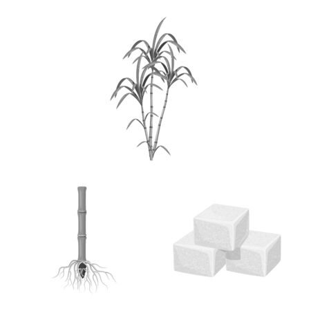 Vector illustration of sugarcane and cane sign. Set of sugarcane and field stock symbol for web.のイラスト素材