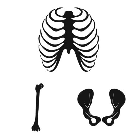 Vector illustration of biology and medical icon. Collection of biology and skeleton vector icon for stock.のイラスト素材