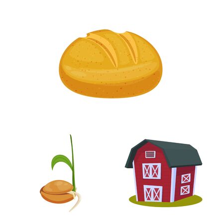 Vector illustration of wheat and corn sign. Set of wheat and harvest stock symbol for web.のイラスト素材