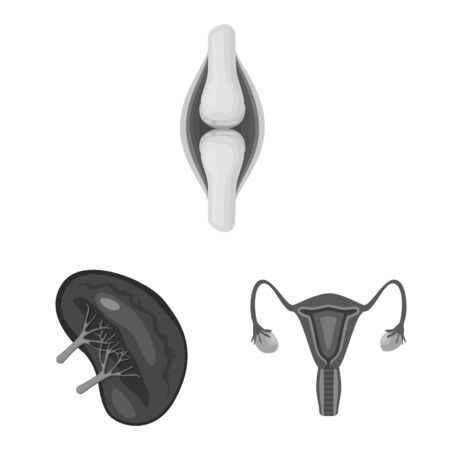 Isolated object of internal and medical sign. Collection of internal and health stock vector illustration.のイラスト素材