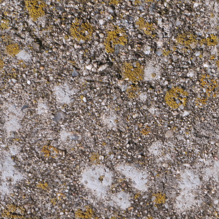 Seamless concrete texture with some moss      の写真素材