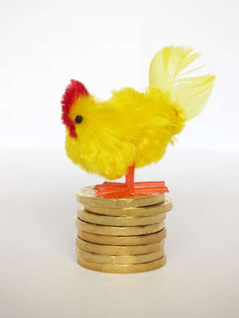 Hen laying golden eggsの写真素材