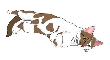Relaxing lying catのイラスト素材