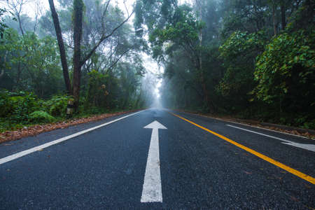 Country road in a forest on a foggyの写真素材