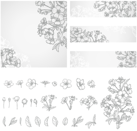 Blossom branch and flowers hand drawn illustrations. Spring flowers of an apple or cherry tree. Stock-vectorのイラスト素材