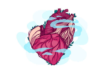 Human heart, internal organ, health, vector graphics, illustrationのイラスト素材