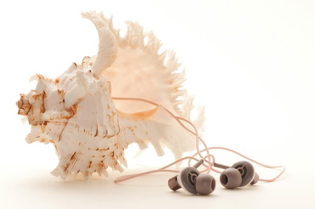 Memories or imagination. Listen to the song of the sea!の写真素材