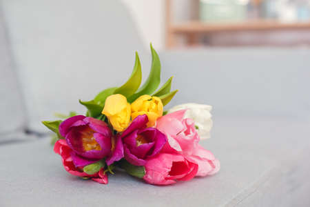 Tulip flowers on the sofa bright background no peopleの写真素材