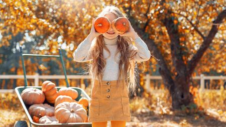 Charming and happy girl spending day on farm, standing near wheelbarrow in casual wear clothes and having fun. Smiling child covered face with two small pumpkinの写真素材