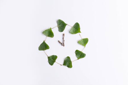 Birch leaves clock isolated on white background top viewの写真素材