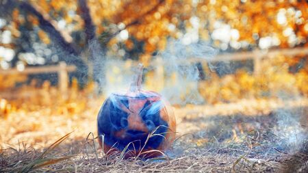 Carved pumpkin surrounded by smoke isolated in garden halloween preparation conceptの写真素材