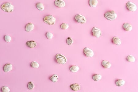 Seashells pattern isoalted on pink background top viewの写真素材