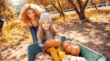 Young adult mother and daughter looking at carved pumpkin with smokeの写真素材