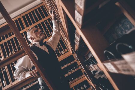 Sommelier Concept. Senior man standing on ladder checking wine collection bottom view close-upの写真素材